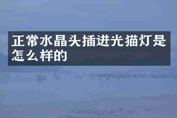 正常水晶头插进光猫灯是怎么样的