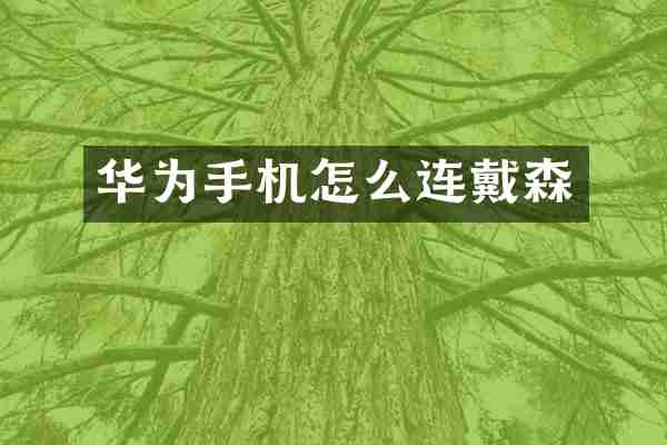 华为手机怎么连戴森