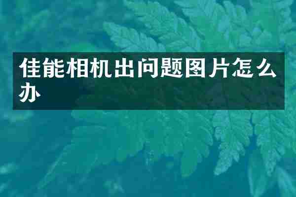 佳能相机出问题图片怎么办