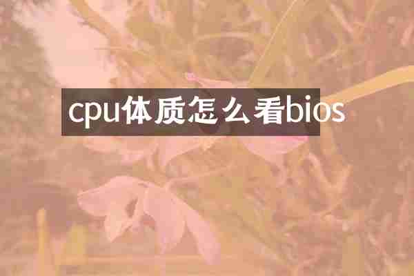 cpu体质怎么看bios