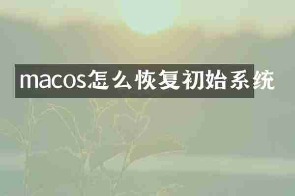macos怎么恢复初始系统