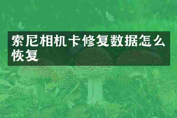 索尼相机卡修复数据怎么恢复