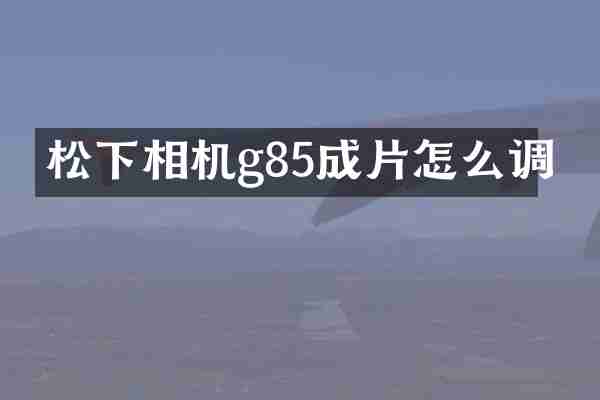 相机g85成片怎么调
