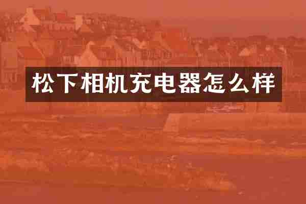 相机充电器怎么样