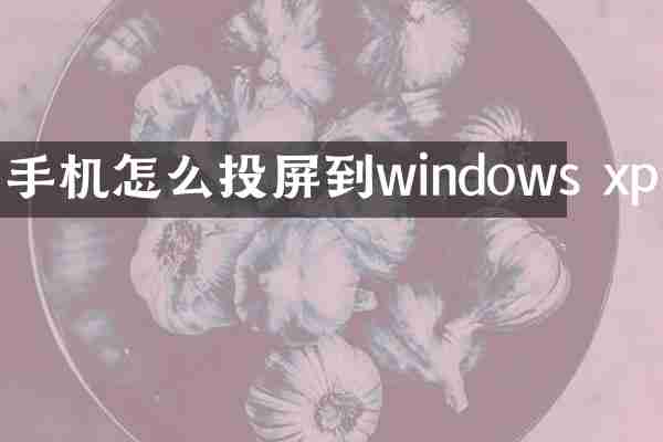 手机怎么投屏到windows xp