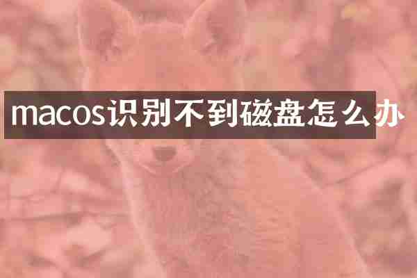 macos识别不到磁盘怎么办