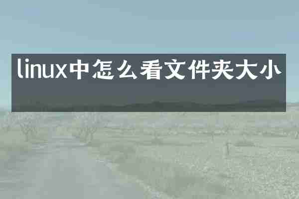 linux中怎么看文件夹大小写