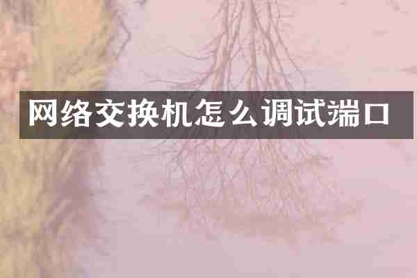网络交换机怎么调试端口