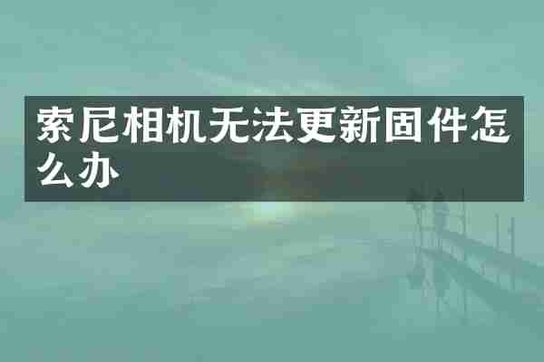 索尼相机无法更新固件怎么办
