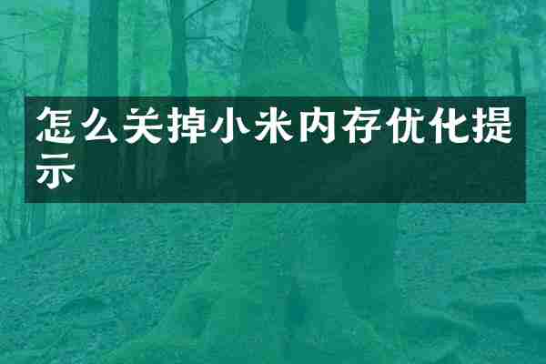 怎么关掉小米内存优化提示