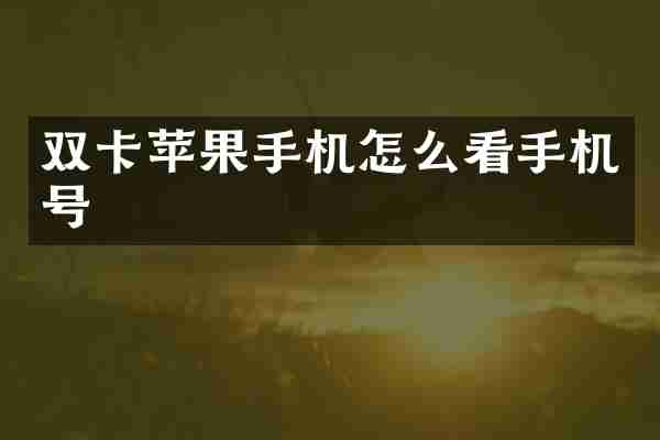 双卡苹果手机怎么看手机号