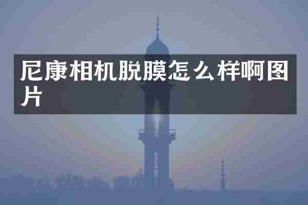 尼康相机脱膜怎么样啊图片