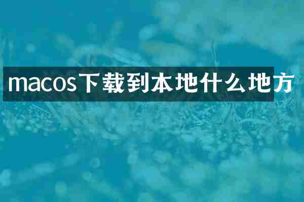 macos下载到本地什么地方