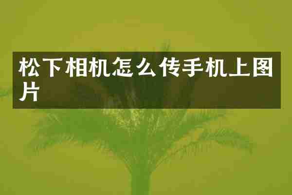 松下相机怎么传手机上图片