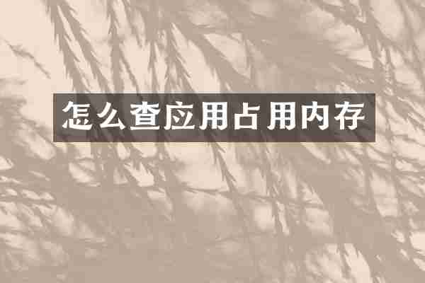怎么查应用占用内存