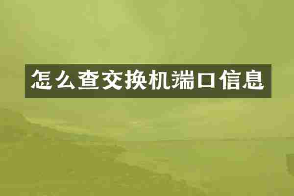 怎么查交换机端口信息