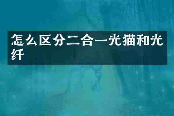 怎么区分二合一光猫和光纤