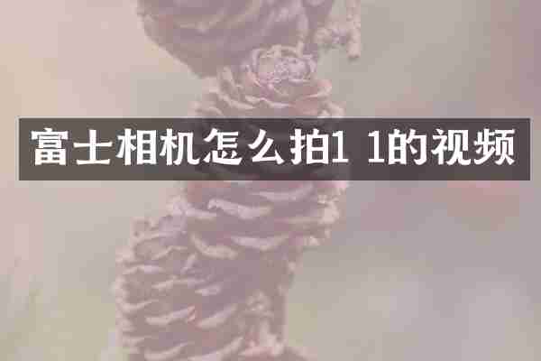 富士相机怎么拍1 1的视频