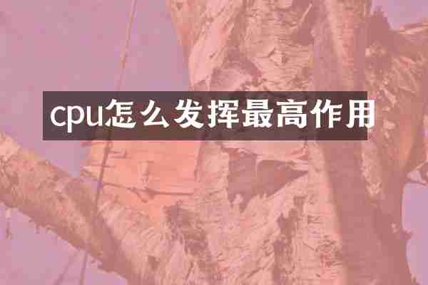 cpu怎么发挥最高作用