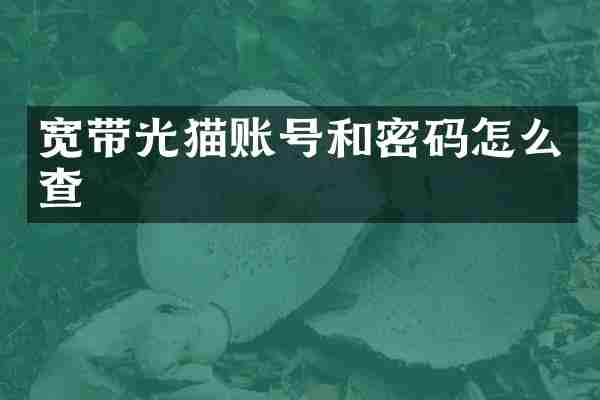 宽带光猫账号和密码怎么查