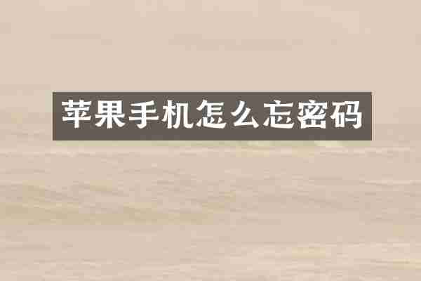 苹果手机怎么忘密码