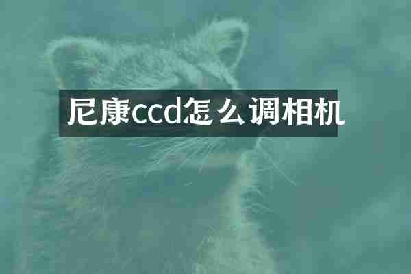 尼康ccd怎么调相机