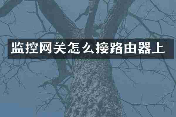 监控网关怎么接路由器上