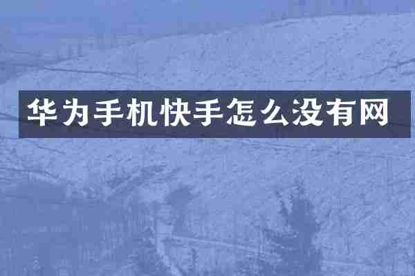 华为手机快手怎么没有网