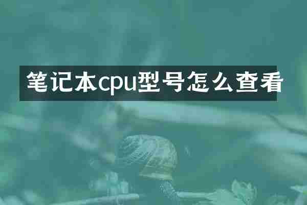笔记本cpu型号怎么查看