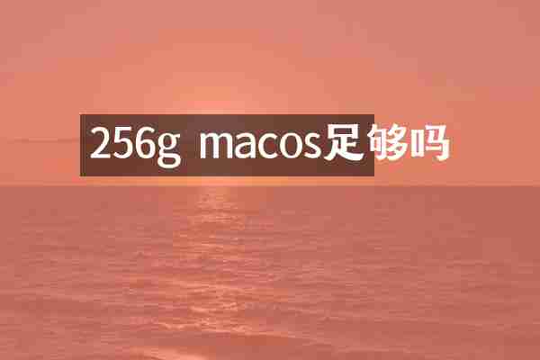 256g macos足够吗
