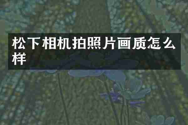 松下相机拍照片画质怎么样