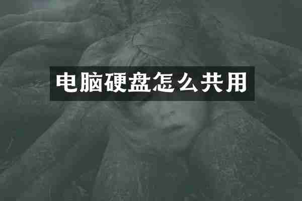 电脑硬盘怎么共用