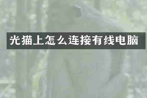 光猫上怎么连接有线电脑