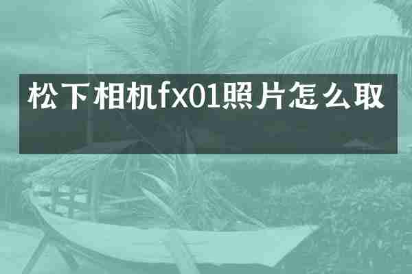 松下相机fx01照片怎么取出