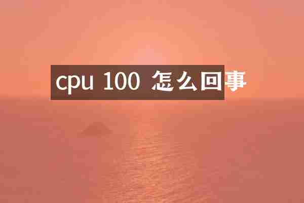 cpu 100 怎么回事