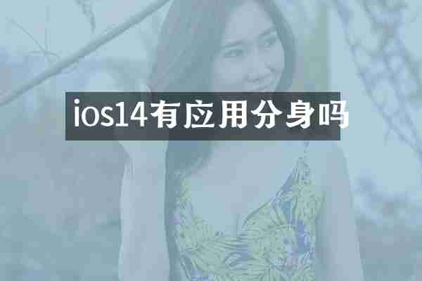 ios14有应用分身吗
