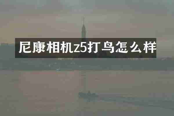 尼康相机z5打鸟怎么样