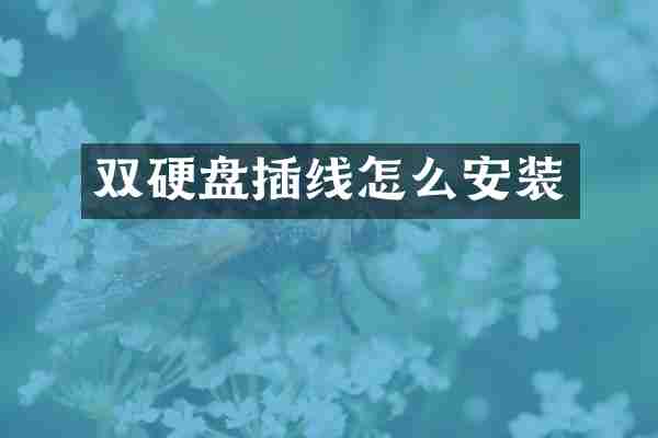 双硬盘插线怎么安装