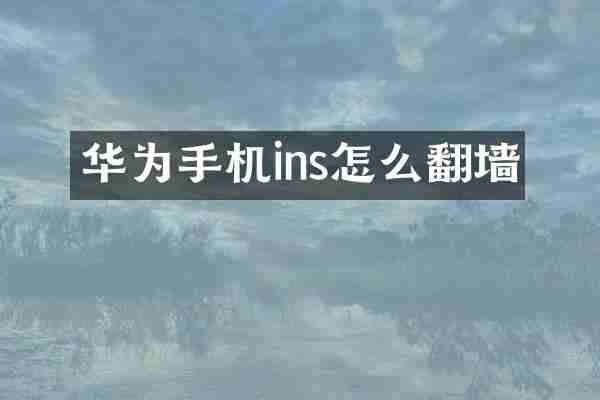 华为手机ins怎么翻墙