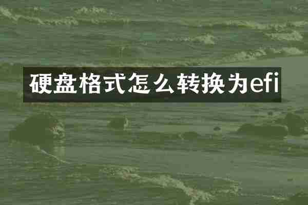 硬盘格式怎么转换为efi