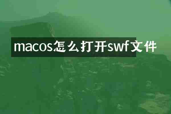 macos怎么打开swf文件