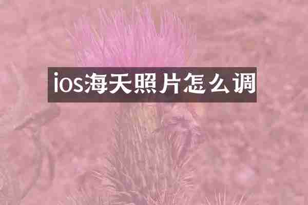 ios海天照片怎么调