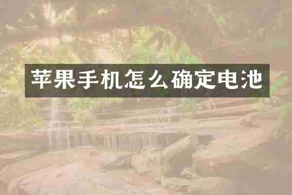 苹果手机怎么确定电池