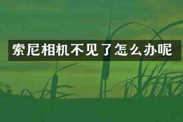 索尼相机不见了怎么办呢