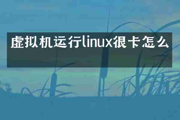 虚拟机运行linux很卡怎么办