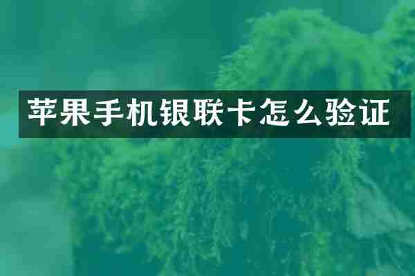 苹果手机银联卡怎么验证