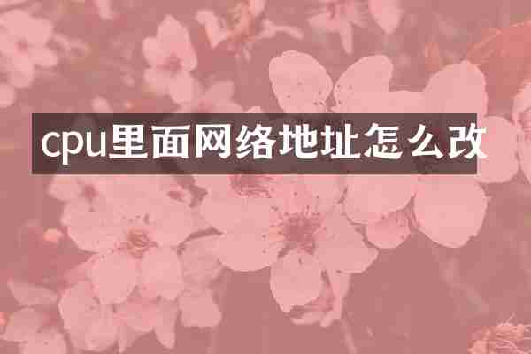 cpu里面网络地址怎么改
