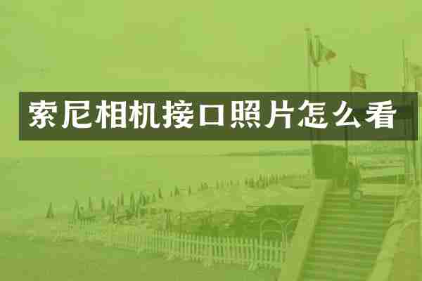 相机接口照片怎么看