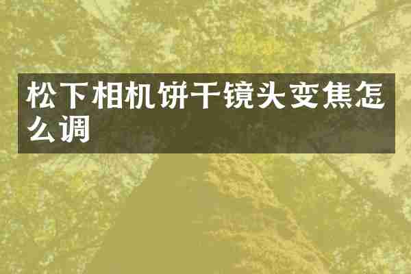 松下相机饼干镜头变焦怎么调