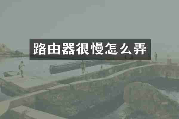 路由器很慢怎么弄
